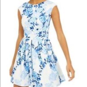 Women’s small honey and Rosie blue and white floral dress